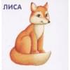 Книжки-картонки. Животные и детеныши