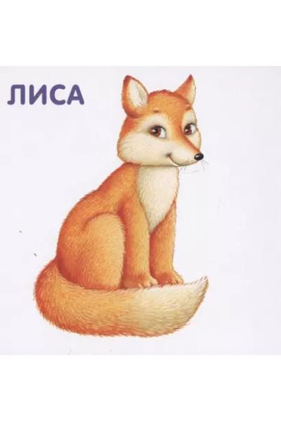 Книжки-картонки. Животные и детеныши