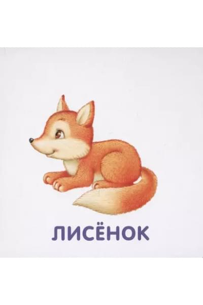 Книжки-картонки. Животные и детеныши