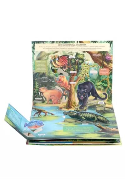 Джунгли. Книжка панорамка