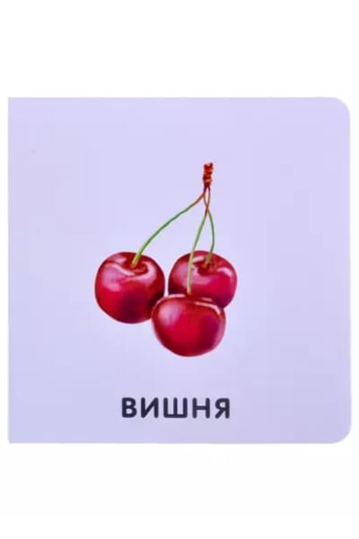 Фрукты и ягоды