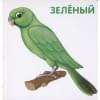 Книжки-картонки. Цвета в природе