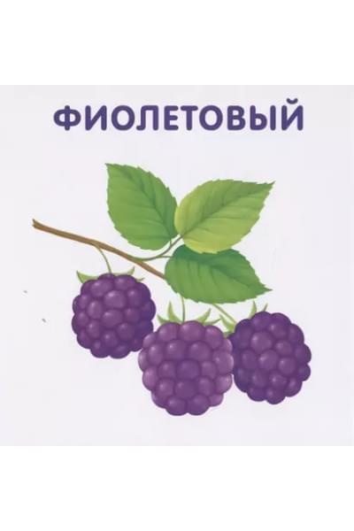 Книжки-картонки. Цвета в природе