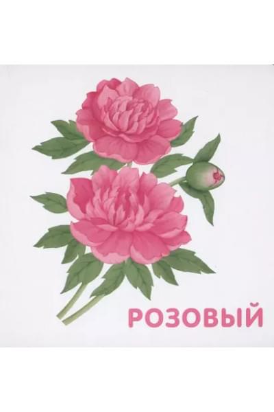 Книжки-картонки. Цвета в природе