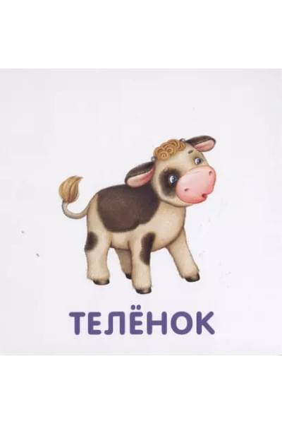 Книжки-картонки. Малыши и мамы