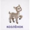 Книжки-картонки. Малыши и мамы