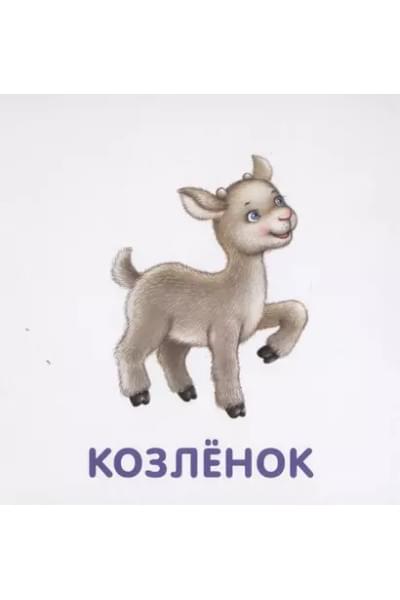 Книжки-картонки. Малыши и мамы