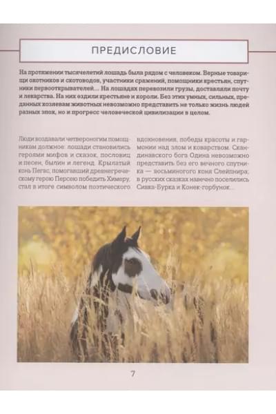 Семенова Людмила Семеновна: Лошади. Иллюстрированный гид по самым популярным породам
