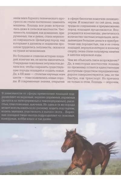 Семенова Людмила Семеновна: Лошади. Иллюстрированный гид по самым популярным породам