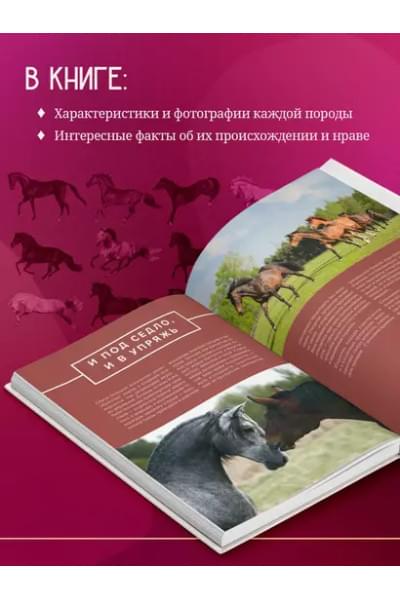 Семенова Людмила Семеновна: Лошади. Иллюстрированный гид по самым популярным породам