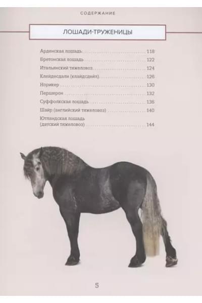 Семенова Людмила Семеновна: Лошади. Иллюстрированный гид по самым популярным породам