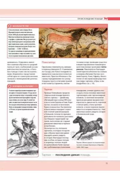 Лошади. Самая полная иллюстрированная энциклопедия