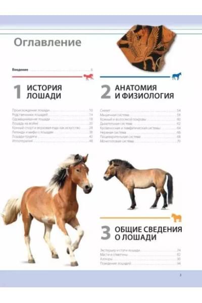 Лошади. Самая полная иллюстрированная энциклопедия
