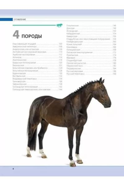 Лошади. Самая полная иллюстрированная энциклопедия