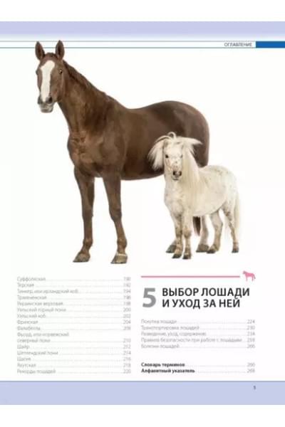 Лошади. Самая полная иллюстрированная энциклопедия