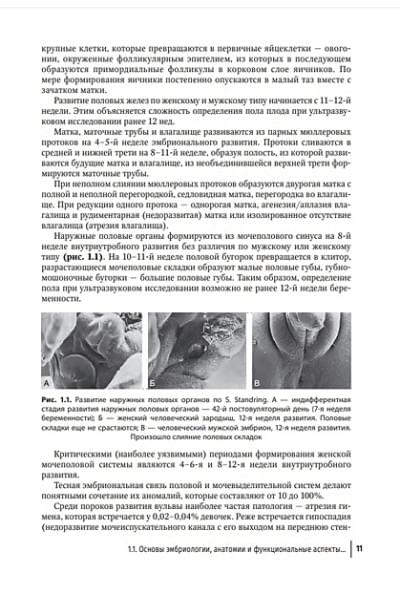 Потекаев Н.Н., Аполихина И.А.: Заболевания кожи и инфекции, передаваемые половым путем, в акушерско-гинекологической практике: руководство для врачей