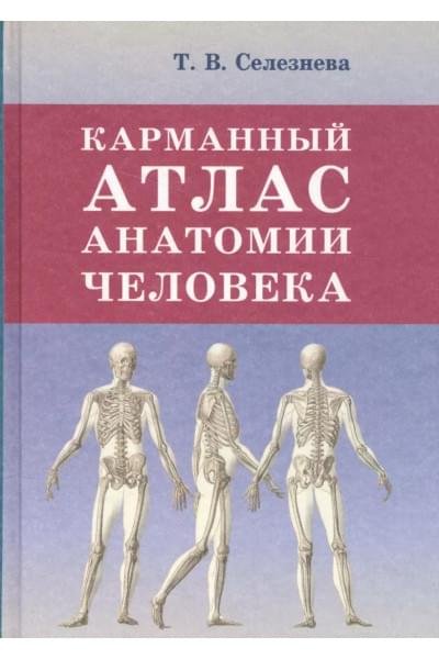 Селезнева Т.В.: Карманный атлас анатомии человека