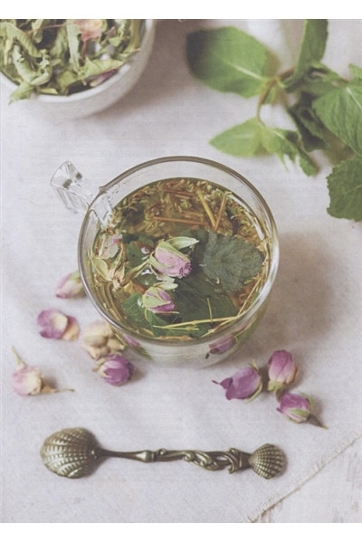 Дикий чай. Как создать элегантный напиток из растений живой природы (рисунок)