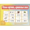 Разные картинки, одинаковые слова. Развивающая игра на омонимы