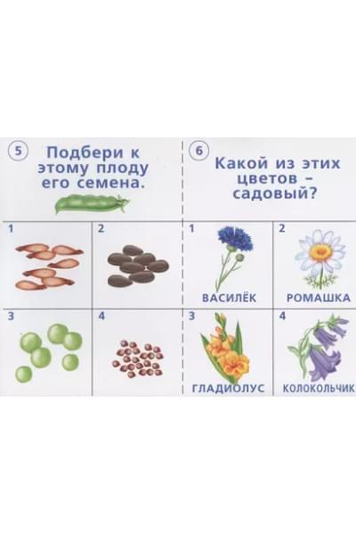 Готов ли ты к школе? Окружающий мир. Природа. 5-7 лет. Тестовые задания для проверки знаний детей