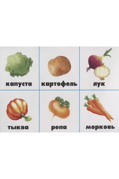 «Овощное лото». Игра с загадками про овощи