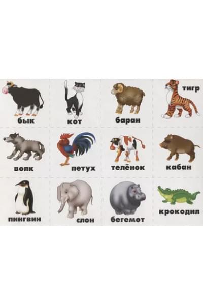 Звонкий-глухой. Фонетическое лото