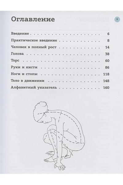 Анатомия для художников. Практический курс