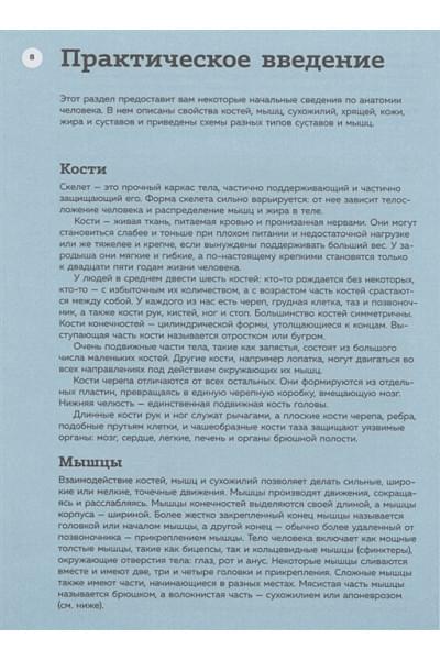 Анатомия для художников. Практический курс