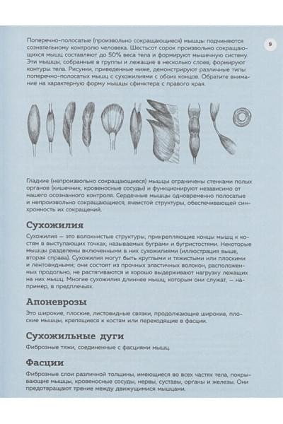 Анатомия для художников. Практический курс