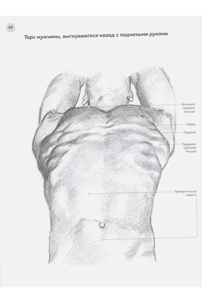 Барбер Баррингтон: Анатомия для художников. Практический курс (новое оформление)