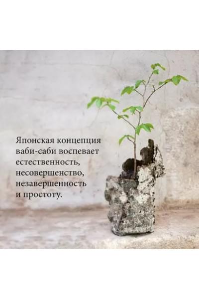 Видалинг Рафаэль: Wabi Sabi. Глоток счастья по-японски