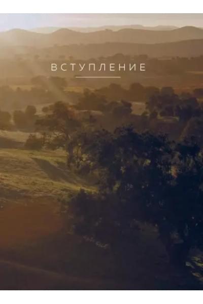 Воскресная мудрость. Озарения, меняющие жизнь