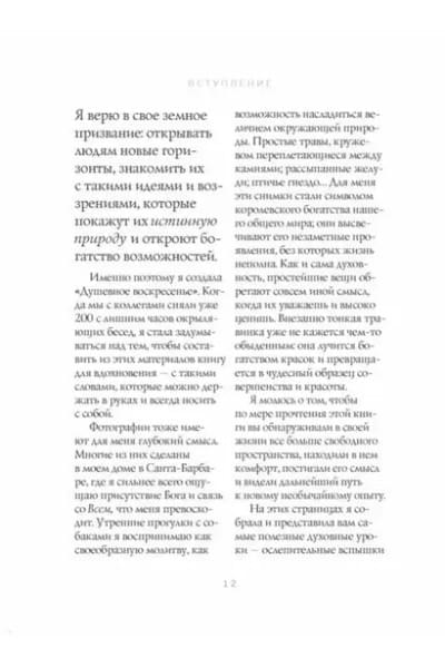 Воскресная мудрость. Озарения, меняющие жизнь