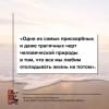 Карнеги Дейл: Как перестать беспокоиться и начать жить