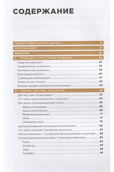 Сандермоен Ш.: Организационная структура: Реализация стратегии на практике