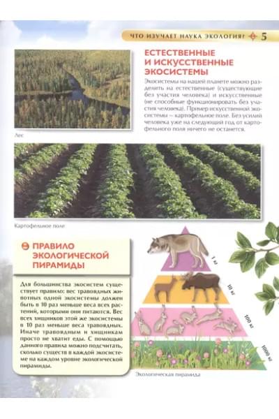 Экология. Детская энциклопедия