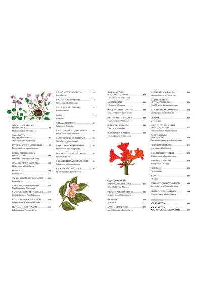 Бологова В. (ред.): Визуальная энциклопедия. Всё о цветущих растениях, прекрасных и загадочных