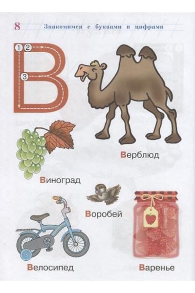 Сафина Юлия Альбертовна, Шкляревская Светлана Моисеевна, Родионова Елена Альбертовна: Годовой курс развивающих занятий: для детей 2-3 лет