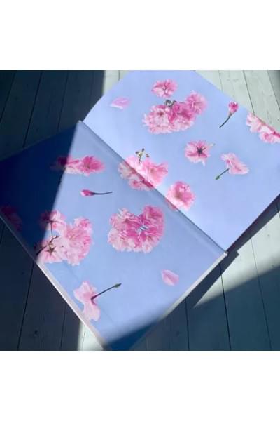 Алюшина Татьяна Александровна: Новые райские кущи: роман