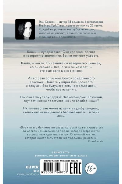 Хармон Эми: Бесконечность +1