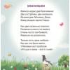 Сосновский Евгений Анатольевич: Читаем днем и перед сном
