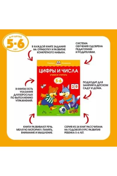 Земцова Ольга Николаевна: Что я знаю и умею. Тесты для детей 5-6 лет