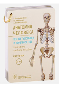Анатомия человека. Кости туловища и конечностей. Наглядное учебное пособие. Карточки