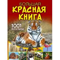 Большая красная книга. 1001 фотография