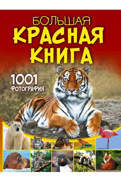 Спектор Анна Артуровна: Большая красная книга. 1001 фотография
