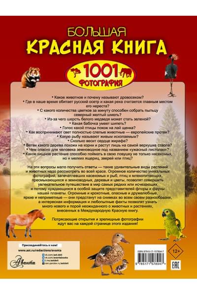 Спектор Анна Артуровна: Большая красная книга. 1001 фотография
