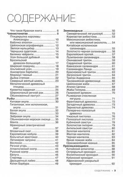 Спектор Анна Артуровна: Большая красная книга. 1001 фотография