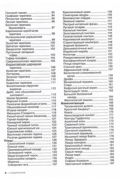 Спектор Анна Артуровна: Большая красная книга. 1001 фотография
