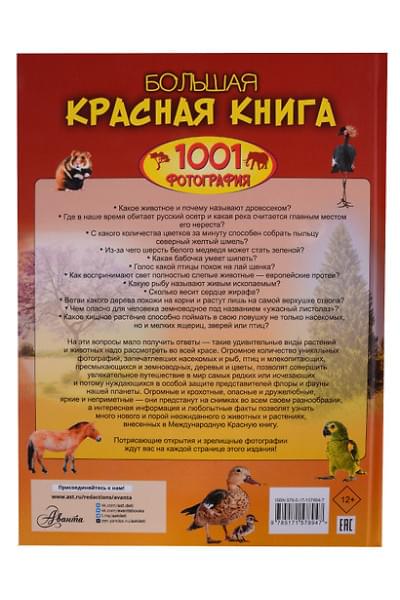 Спектор Анна Артуровна: Большая красная книга. 1001 фотография