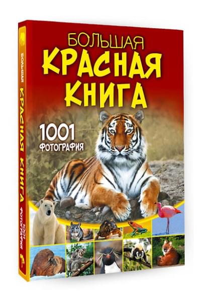 Спектор Анна Артуровна: Большая красная книга. 1001 фотография